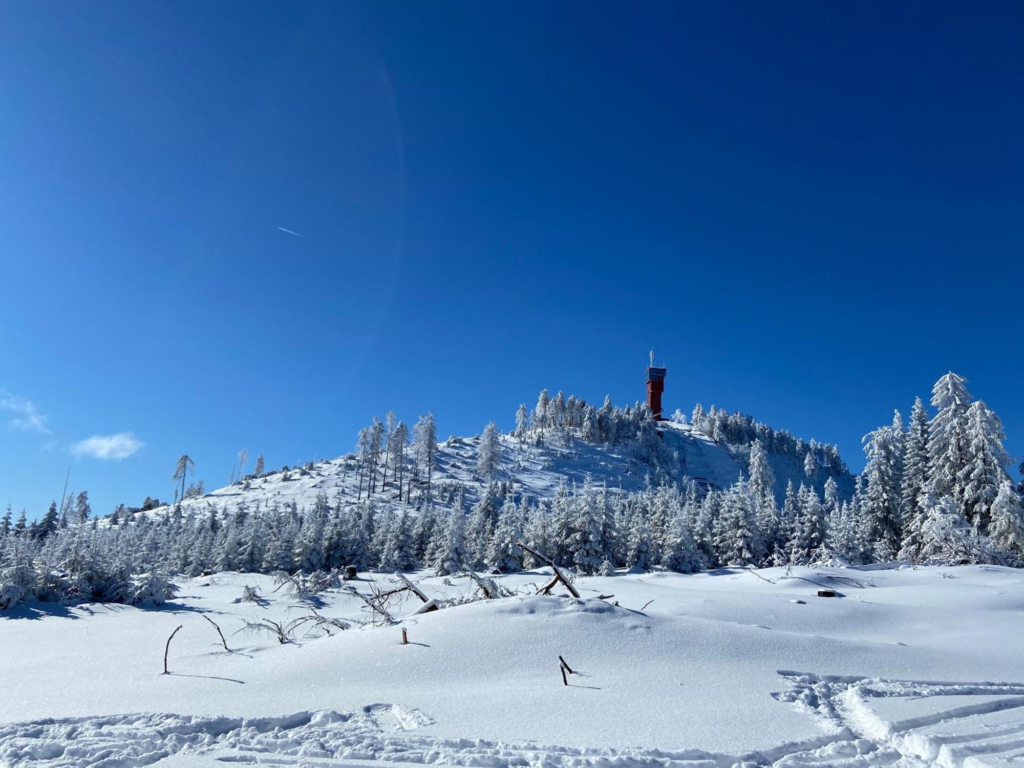 Bergtraum Braunlage Im Harz, 17 Gaeste, Sauna, Pool Villa Dış mekan fotoğraf