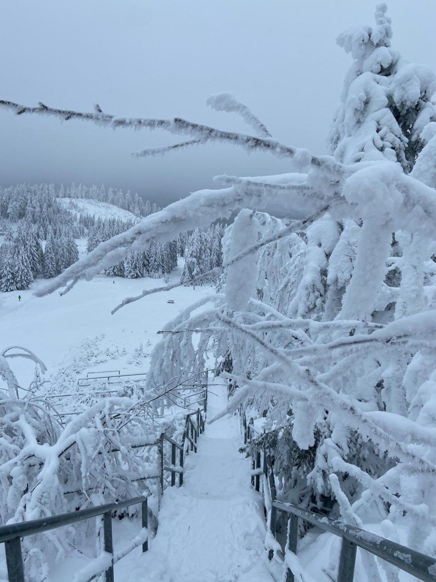 Bergtraum Braunlage Im Harz, 17 Gaeste, Sauna, Pool Villa Dış mekan fotoğraf