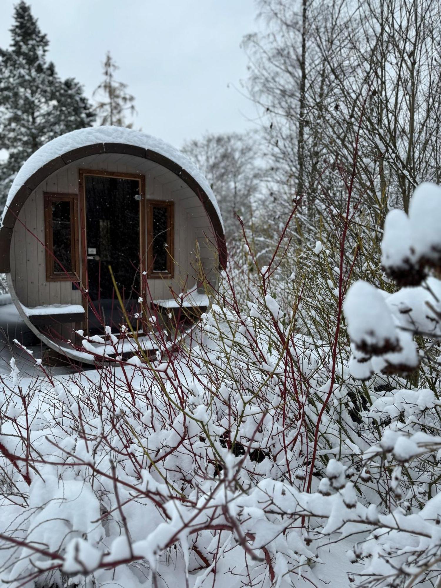 Bergtraum Braunlage Im Harz, 17 Gaeste, Sauna, Pool Villa Dış mekan fotoğraf